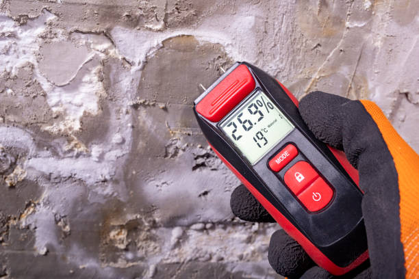 Best Industrial Mold Remediation in Janesville, WI